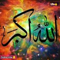 NEW Beautiful❤️#ALLAH #NAME #DP For Whatsapp_ #MUHAMMAD Name Pic_ ALLAH HU AKBAR_ Photo_ #ISLAMIC Dp