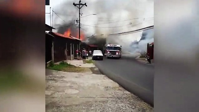 ext-bomberos-rescatan-perros-en-alajuela-080423