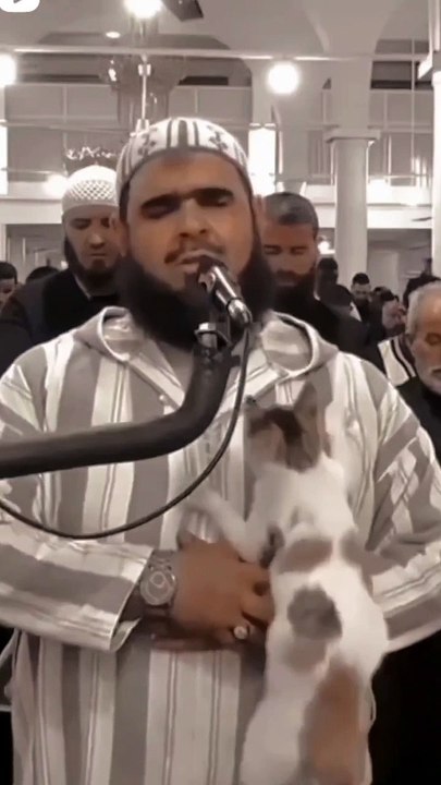Cat playing with imam during reciting Quran/Taraweeh Imam and a cat