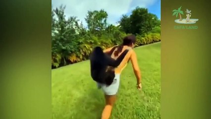 Funny Monkey Videos  Monkey will make you laugh Best Funny Animal Videos Compilation Cafa Land #1