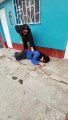 Joven toma hasta quedarse tirado en el piso, sucedió en Ayacucho durante Semana Santa