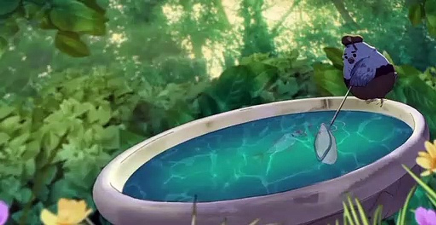 Animals. Animals. S03 E003 – Pigeons