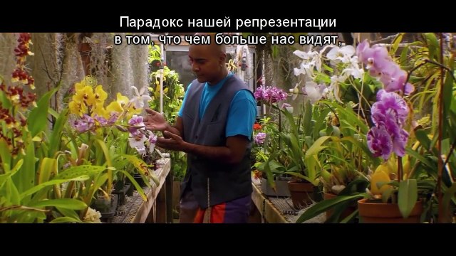 Identités trans : Au-delà de l'image Bande-annonce (RU)