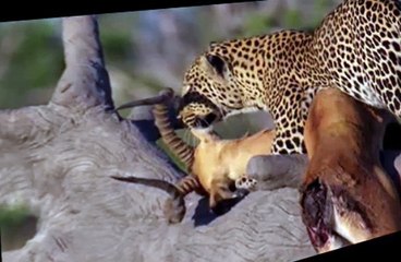 Savage Kingdom S01 E03