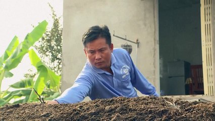 How Vietnam is trying to stop rice warming the planet