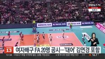 여자배구 FA 20명 공시…'대어' 김연경 포함
