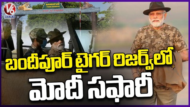 PM Modi Goes On Jungle Safari At Bandipur Tiger Reserve In Karnataka _ V6 News