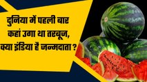 Watermelon Interesting Facts: तरबूज की उत्पत्ति कहां हुई, क्या India है वो Country? | वनइंडिया हिंदी