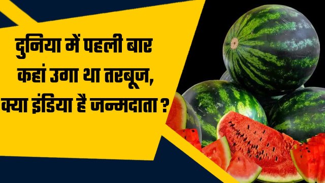 Watermelon Interesting Facts: तरबूज की उत्पत्ति कहां हुई, क्या India है वो Country? | वनइंडिया हिंदी