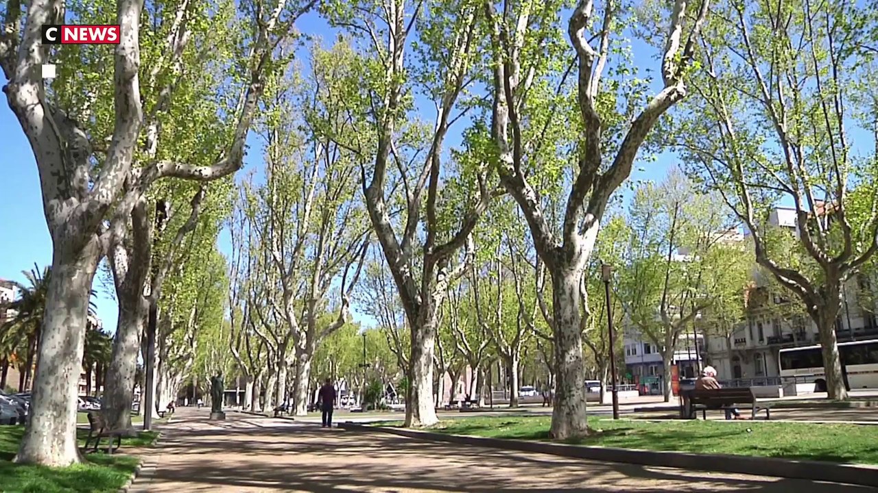 Pollen : 60 départements en alerte rouge