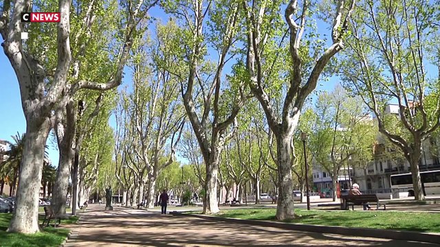 Pollen : 60 départements en alerte rouge