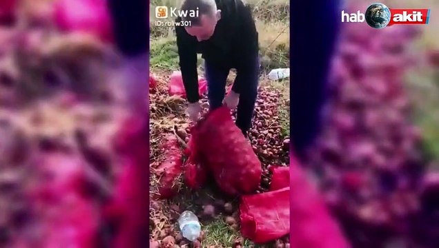 Yazıklar olsun! Sırf AK Parti'ye zarar vermek için tonlarca soğanı döktüler