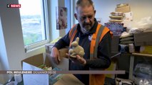 Belgique : des lapins de Pâques à l’ecstasy interceptés par les douanes