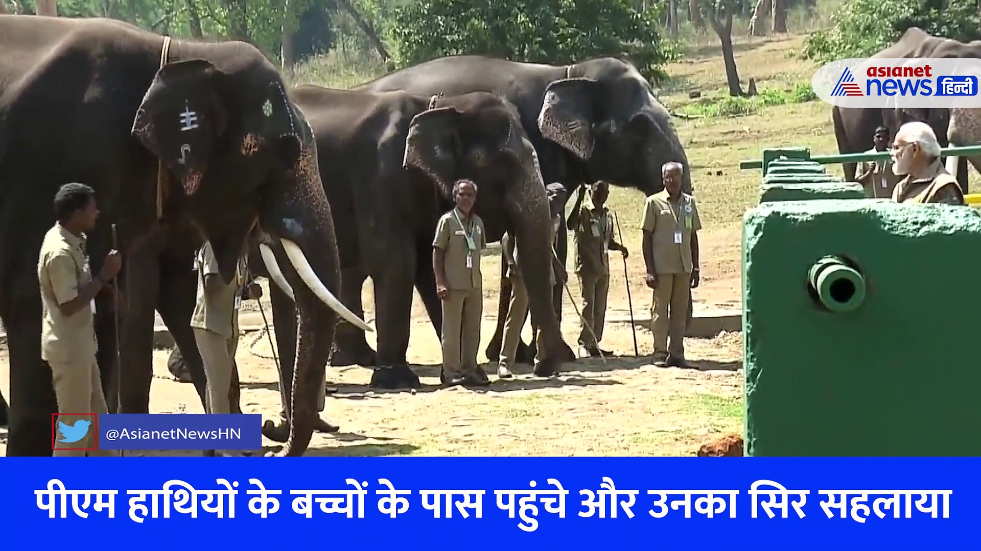 Video: थेप्पाकडू एलीफेंट कैंप पहुंचे पीएम, हाथियों को खिलाया गन्ना, सिर सहलाकर बच्चों को दुराला