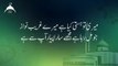 Huzoor Meri To Sari Bahar Aapse Hai Lyrics - Hafiz Noor Sultan(360P)