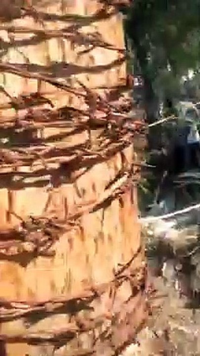 पर्यावरण प्रेमियों ने डॉ. अम्बेडकर पार्क में चलाया स्वच्छता अभियान