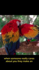 Who Really Cares You