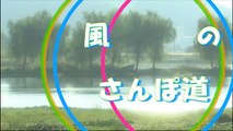 （たおやかインターネット放送)風の散歩道日本語のはなしJapanese story