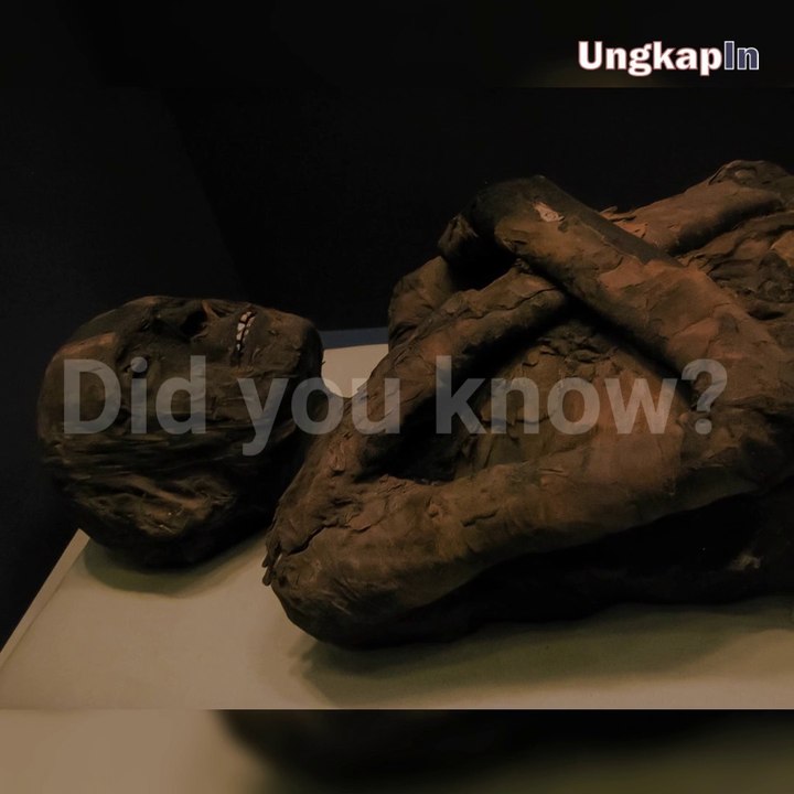 Ancient Egyptians Performed These Creepy Activities During the Mummification Process