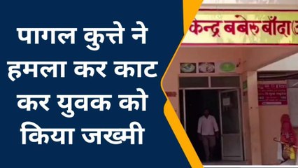 बांदा: फिर दिखा कुत्ते का आतंक, किसोर पर हमलाकर नोच नोच कर किया बुरा हाल