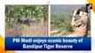PM Modi enjoys scenic beauty of Bandipur Tiger Reserve