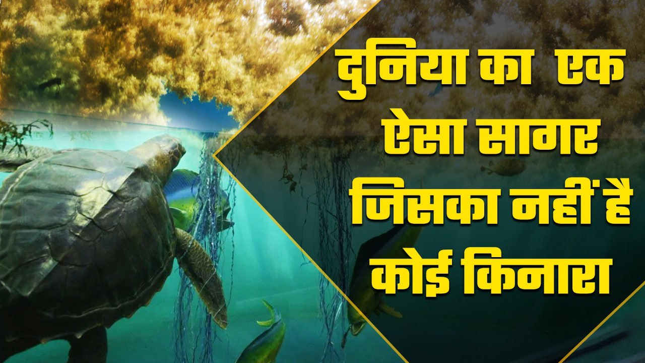 Sargasso sea interesting facts: North Atlantic Ocean के सागर क्यों है बेहद खास  | वनइंडिया हिंदी