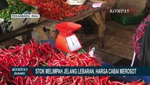 Harga Cabai Merah dan Rawit Merosot Jauh, Imbas Stok Cabai yang Melimpah