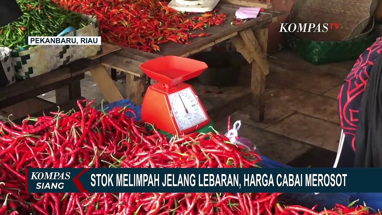 Harga Cabai Merah dan Rawit Merosot Jauh, Imbas Stok Cabai yang Melimpah