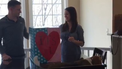 'It's a boy!' - Cute gender reveal leaves the dad-to-be buzzing with excitement
