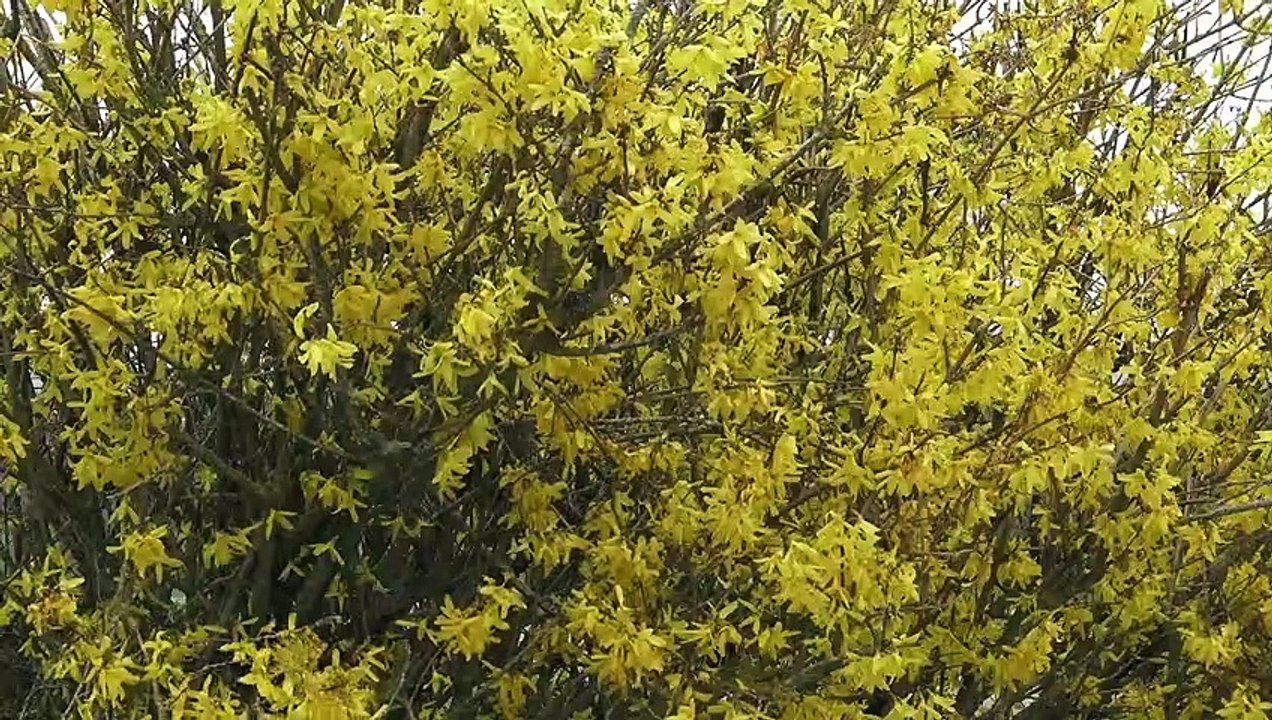 Chapelle saint joseph