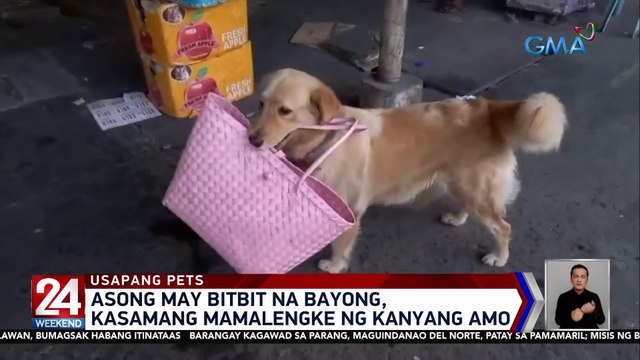 Asong may bitbit na bayong, kasamang mamalengke ng kanyang amo | 24 Oras Weekend