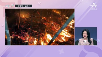 [여랑야랑]산불 때 골프? / 별점 테러