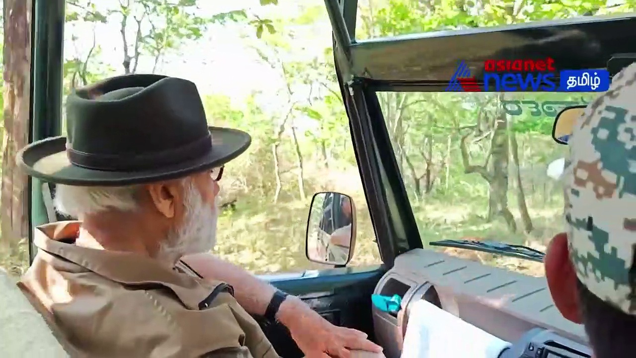 Video: பந்திப்பூர் ஜீப் சவாரி முதல் முதுமலை ஆஸ்கர் தம்பதி சந்திப்பு வரை - பிரதமர் மோடியின் பயண வீடியோ