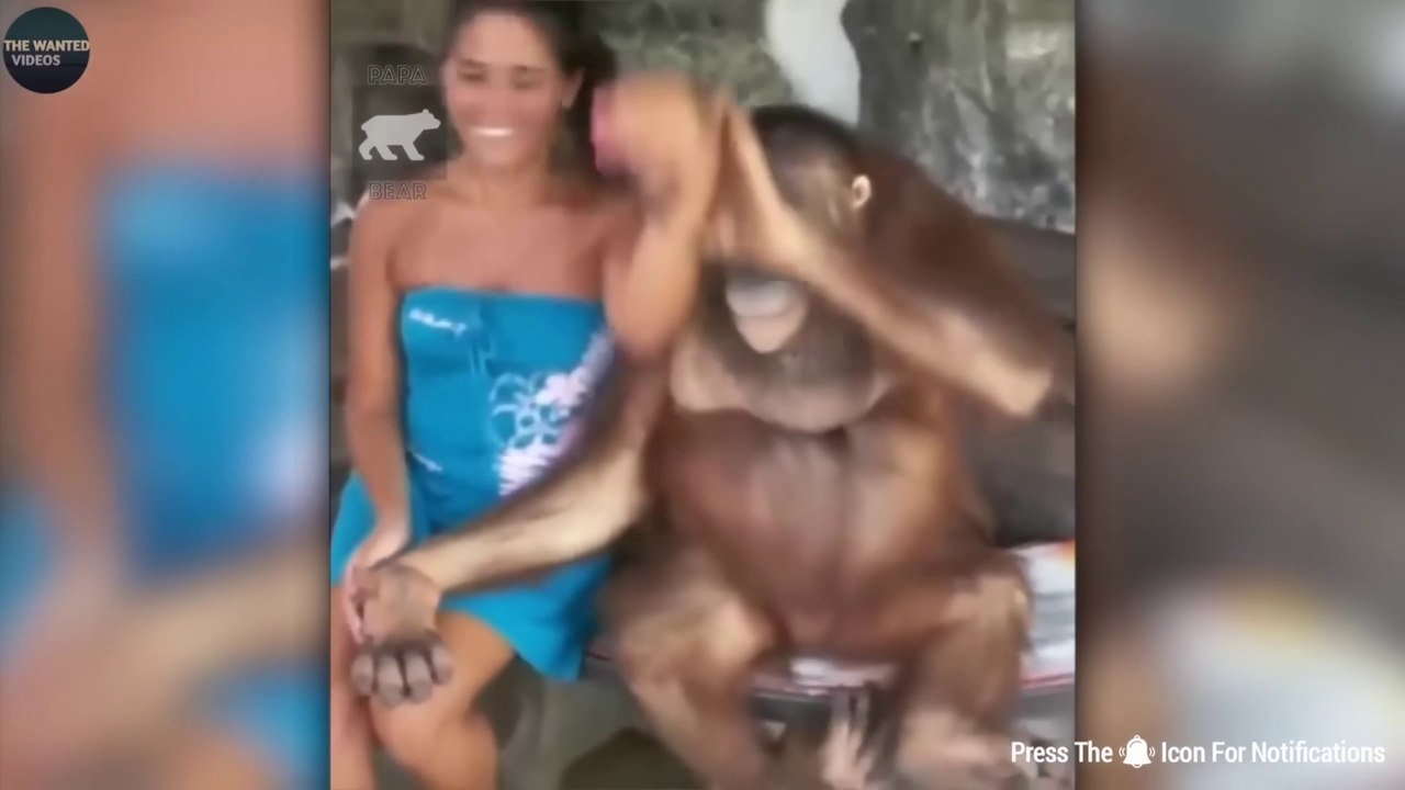 FUNNIEST PAPA KI PARI CAUGHT ON CAM 1