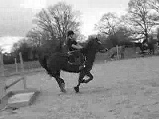 Jo et Daisy des Chouans