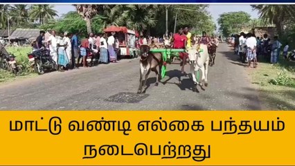 புதுகை:மாபெரும் மாட்டுவண்டி எல்கை பந்தயம் நடைபெற்றது