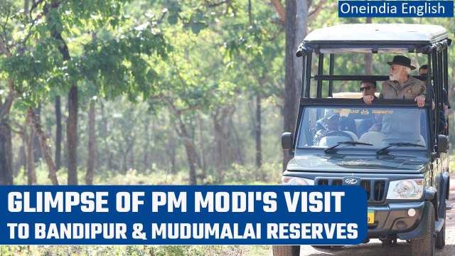 PM Modi shares glimpse of his visit to Bandipur and Mudumalai Tiger Reserves | Oneindia News