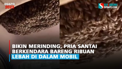 Bikin Merinding, Pria Santai Berkendara Bareng Ribuan Lebah di Dalam Mobil
