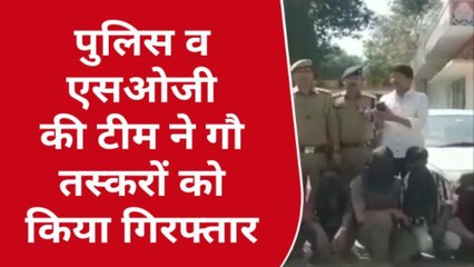 सिद्धार्थनगर: 7 गौ तस्करों को पुलिस ने किया गिरफ्तार