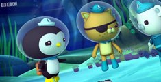 The Octonauts The Octonauts S02 E016 – The Mimic Octopus