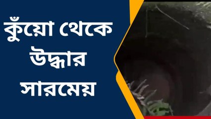 দু-দিন ধরে কুঁয়োয়! কান্না শুনেতেই যা হলো.... click