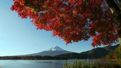 Hafu - ハーフ - Half , Hafu: The Mixed-Race Experience in Japan