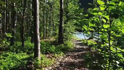 25 Min Deeply Relaxing Meditation For Inner Peace And bliss