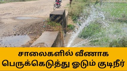 தியாகதுருகம் அருகே சாலைகளில் வீணாக பெருக்கெடுத்து ஓடும் குடிநீர்!