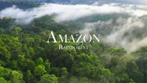 Amazon 4k - The World_s Largest Tropical Rainforest