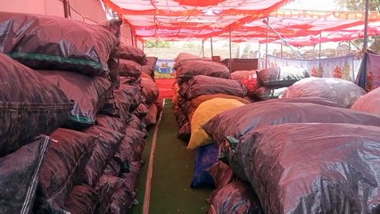 सीपीएस पट्टाधारी किसान हुए परेशान बिना डोडा तुलाए तोल केंद्र से डोडा लेकर वापस लोटे