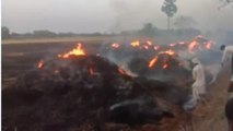 रोहतास: आग से गेहूं की फसल जलकर हुआ राख, किसान में मचा कोहराम