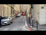 Effondrement d'immeubles à Marseille : les chiens sauveteurs actuellement en action