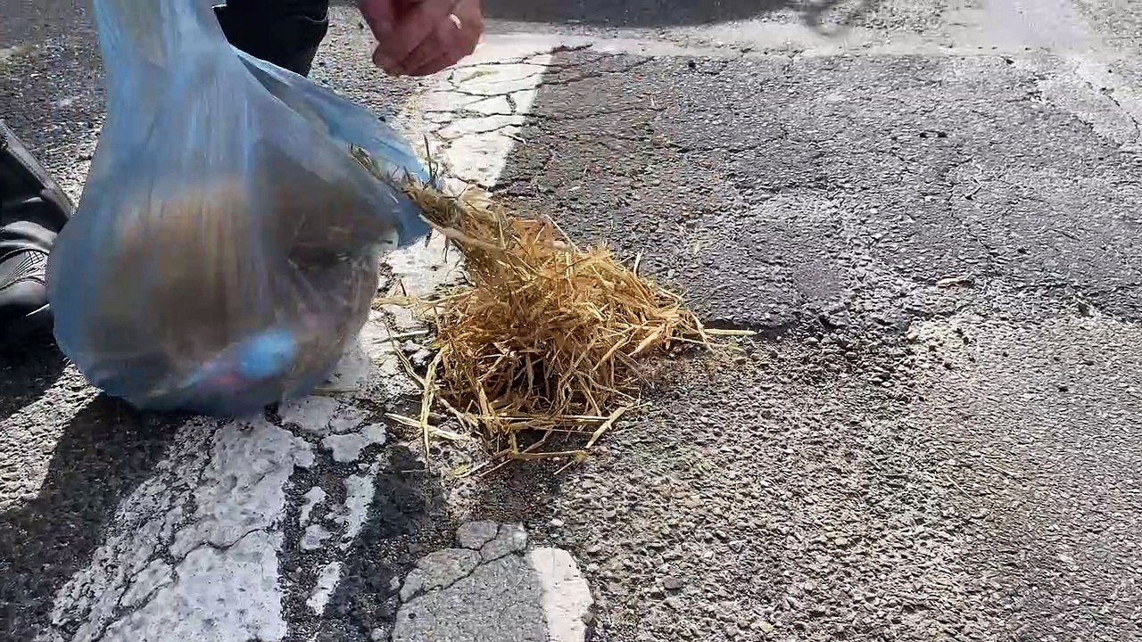 Pour Pâques, les motards en colère de l'Hérault déposent des œufs dans les nids de poule