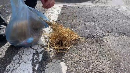 Pour Pâques, les motards en colère de l'Hérault déposent des œufs dans les nids de poule